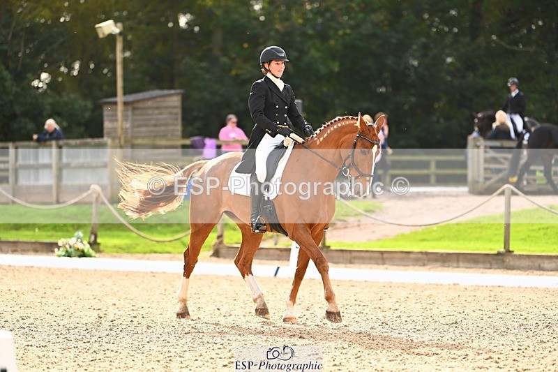 231020-143926-09995 - 309-CROSSTOWN.FINTANS.LAST-Catherine.Burrell-DR