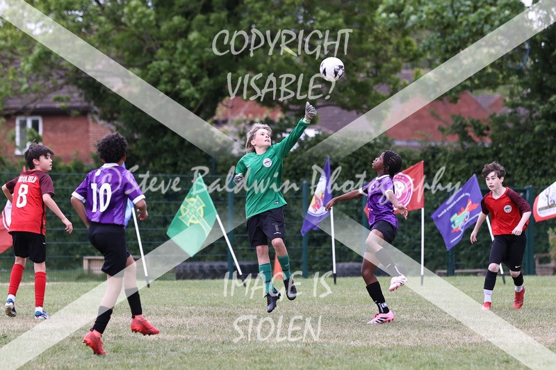 1DX31124 - Brook Field V Goddard Park
