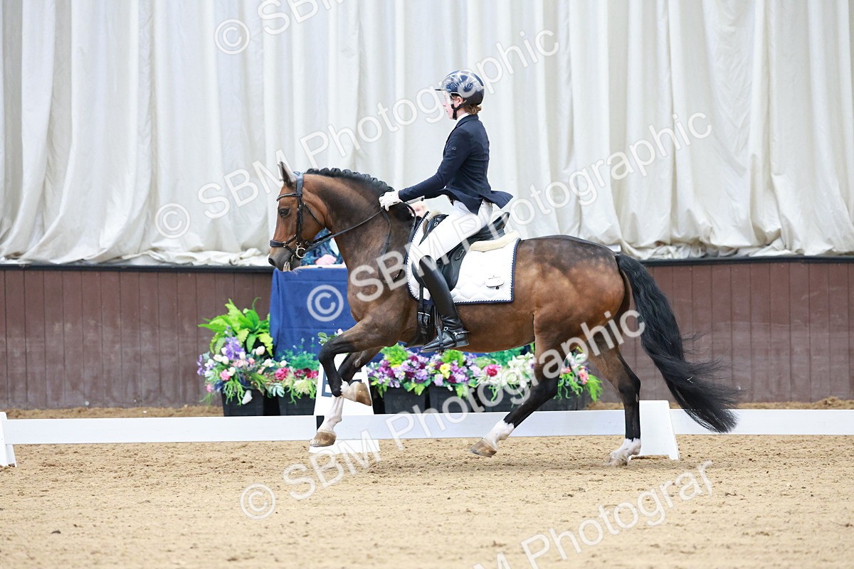 SBM_017161 - Class15 - FEI Pony