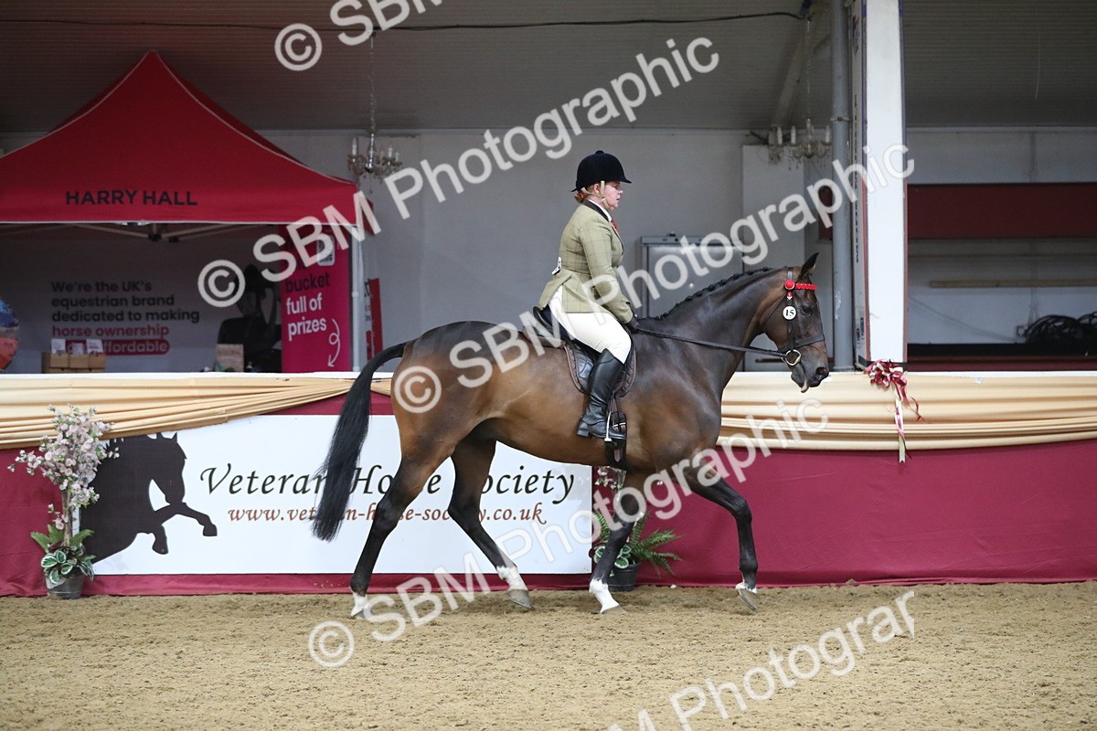 SBM_12317 - Class 108 Ridden Retired Racehorse- Pre Judging
