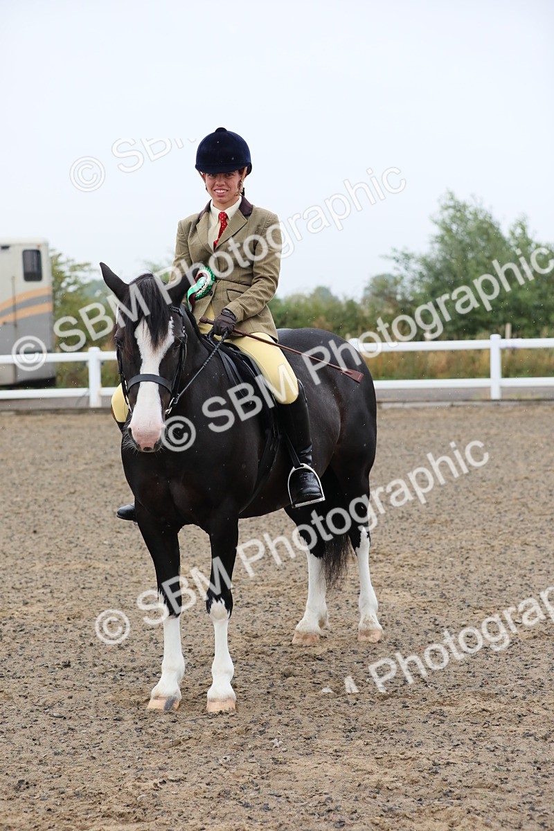 SBM_19983 - Class 801 - Ridden Veteran