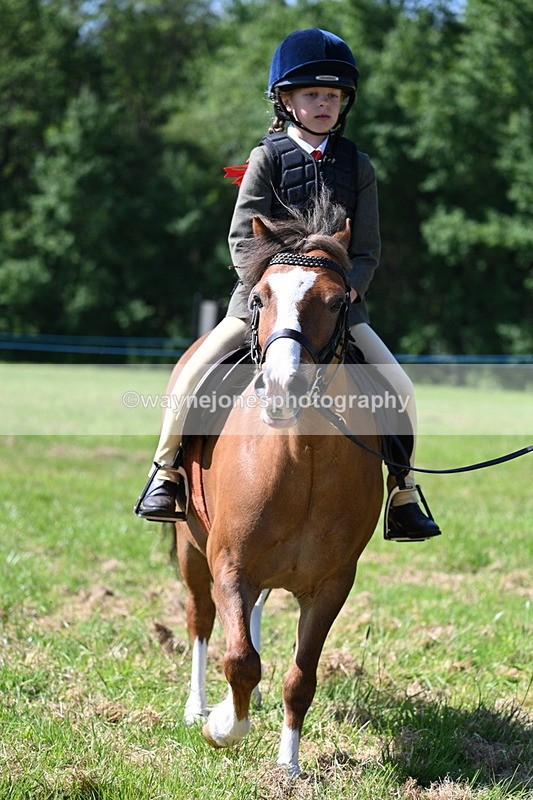 WJ7_0641 - Class 8 First Rally Pony