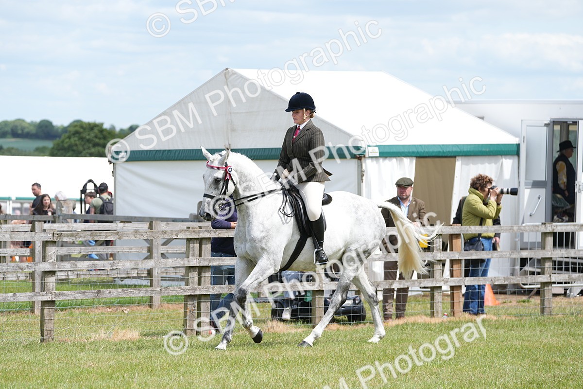 SBM_16174 - Class 105-106 - RIHS Riding Horses