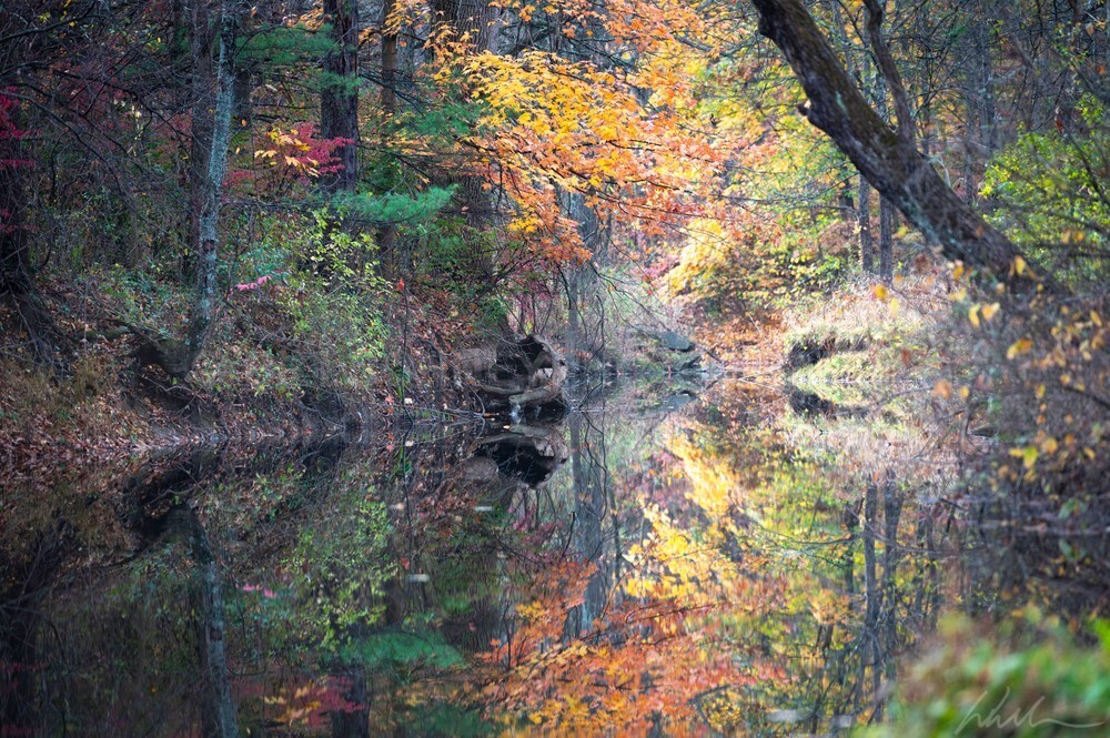 DSC_2215 - Autumn