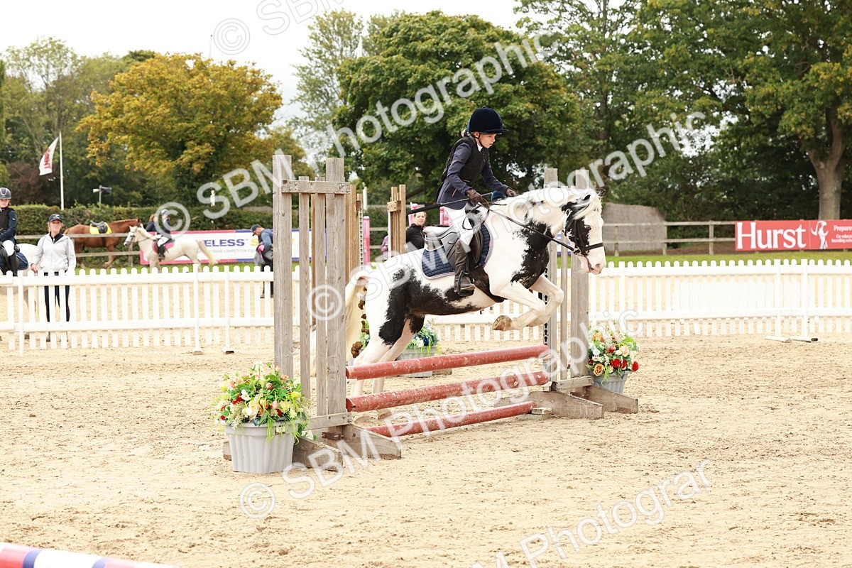 SBM_62128 - J12 - Junior Pony 55cm Championship