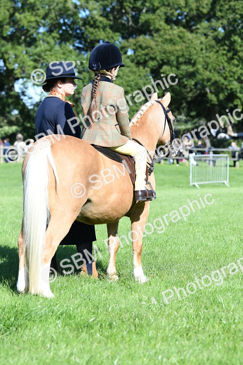 SBM_36993 - S18 - Novice & Newcomers Lead Rein Pony