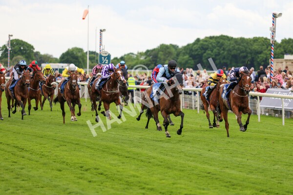 yr22052022r1-25 - Race 1: 3:30pm Sky Bet Sunday Series Apprentice Stakes