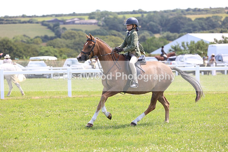 JPP_2662 - Class 21: Working Hunter 60cm
