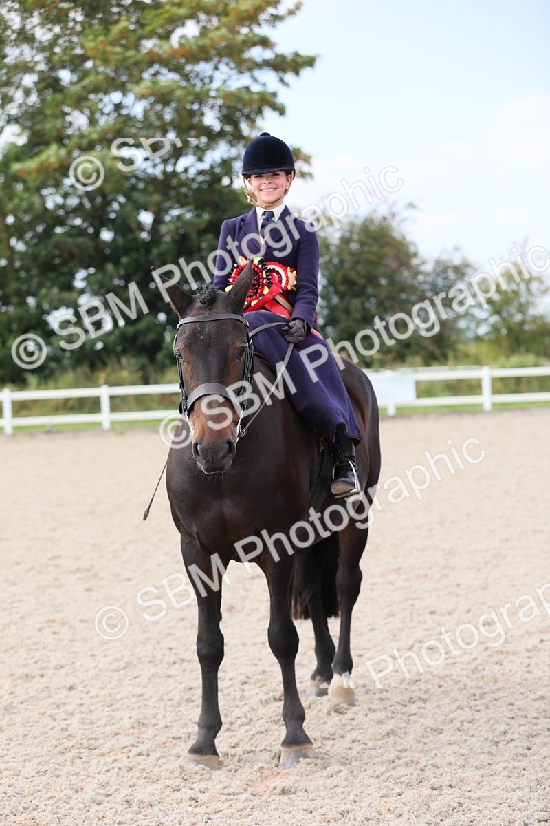 SBM_14600 - Class 211 Best Side Saddle Horse/Pony