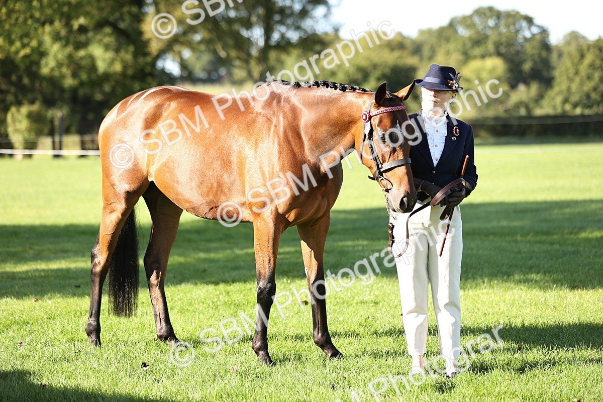 SBM_15777 - S1 - TSR in Hand Horse & Pony Showing