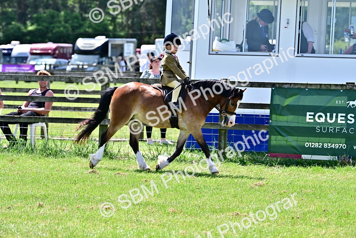 SBM_06020 - Class 59-60 - TSR M&M  Lear Rein and First Ridden Amateur of the year