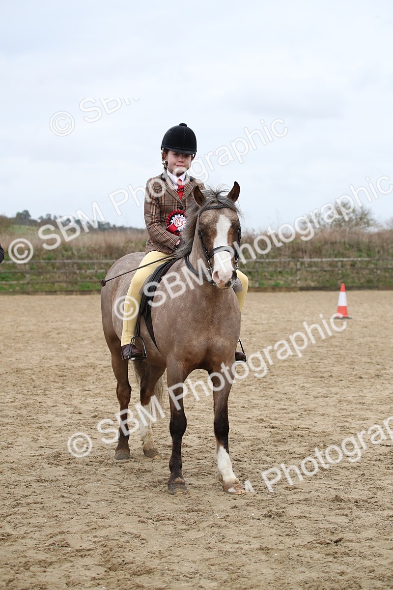 SBM_007117 - Class 10-13 - RIHS Small Large Breeds
