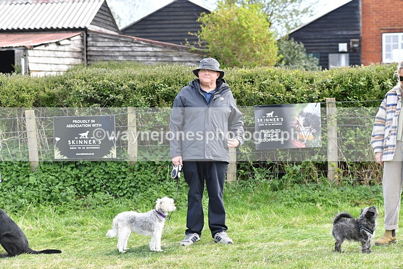 WJ5_0684 - Best in Show Championship
