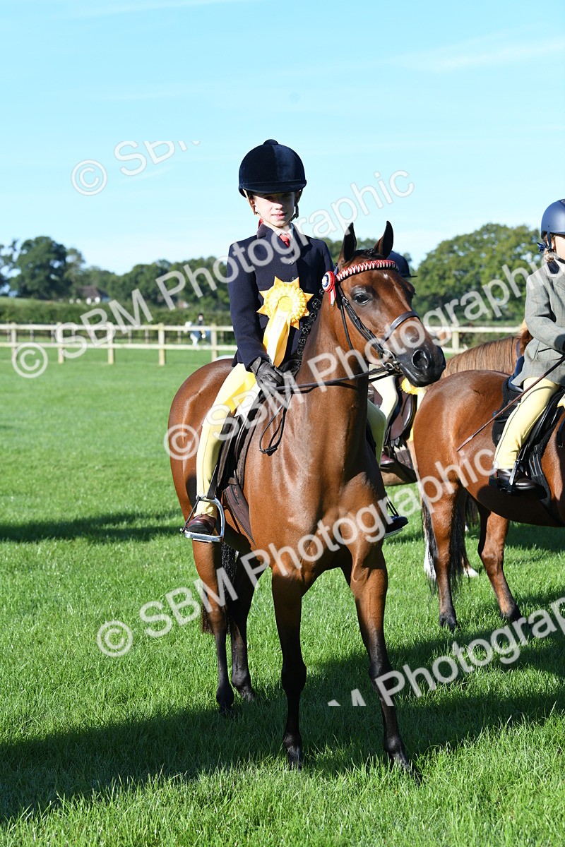 SBM_34125 - S16 - Condition & Turnout - Ridden