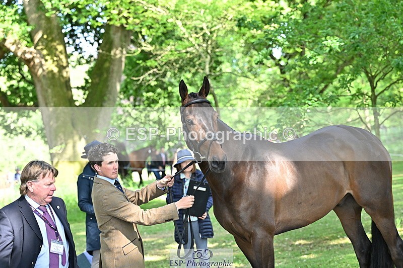 250521A-162639-01147 - C-223-Tom.McEwen-BROOKFIELD.DANNY.DE.MUZE