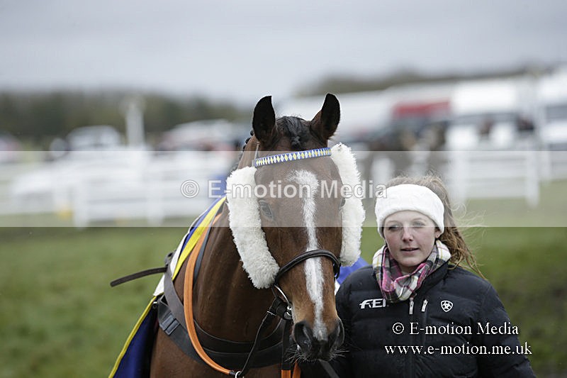 PtP 150320 0252 - New Forest Point-to-Point Larkhill 15/03/20