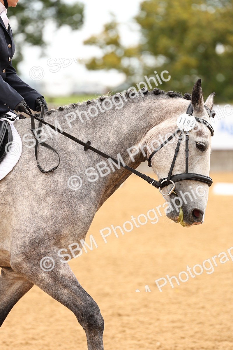 SBM_03596 - D1 - Small Tour Championship Intro 1