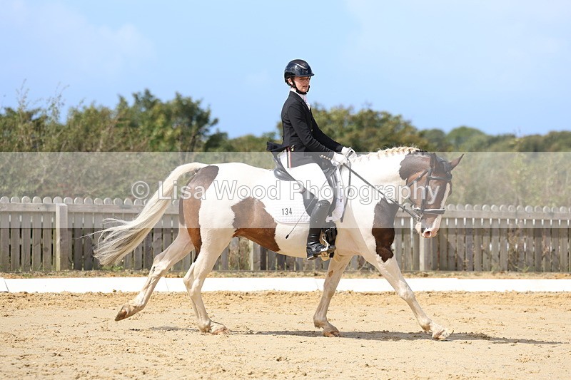 3E7A4139 - Class 9: Novice 6 Section B Championship