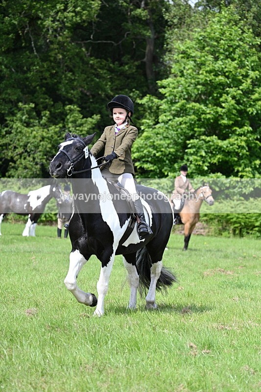 WJ7_1147 - Class 11 Condition & Turnout