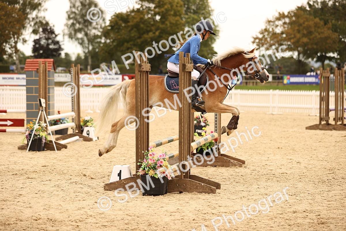SBM_72603 - J14 - Junior Pony 65cm Championship