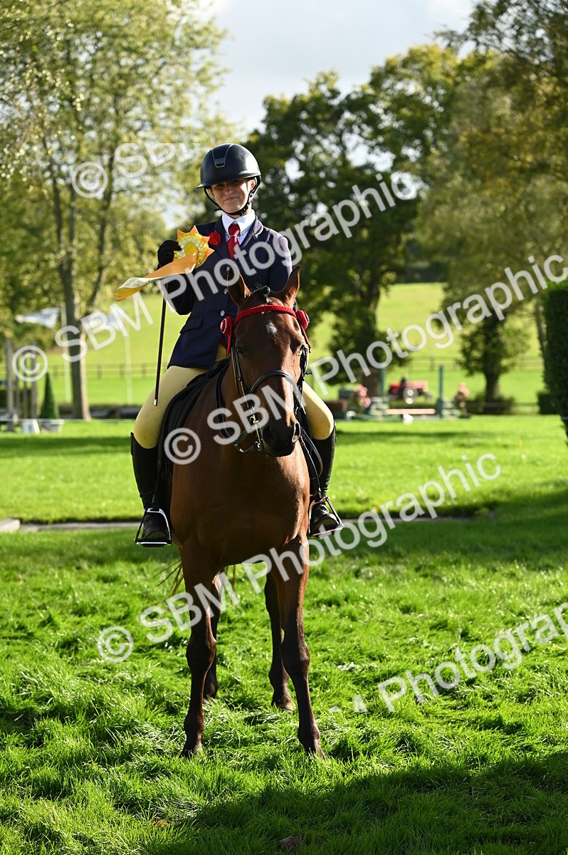 SBM_26472 - S6 - Novice & newcomer Ridden horse