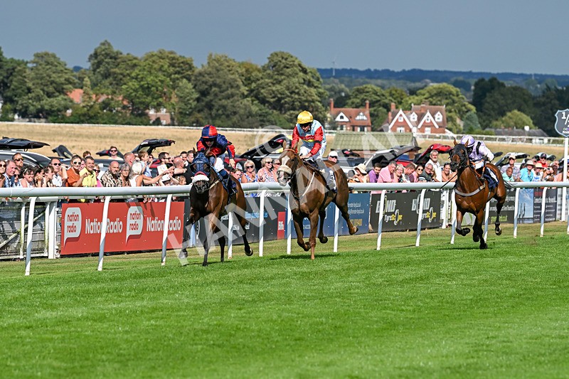 140825-Race 5-Chillhi-1508 - Race 5