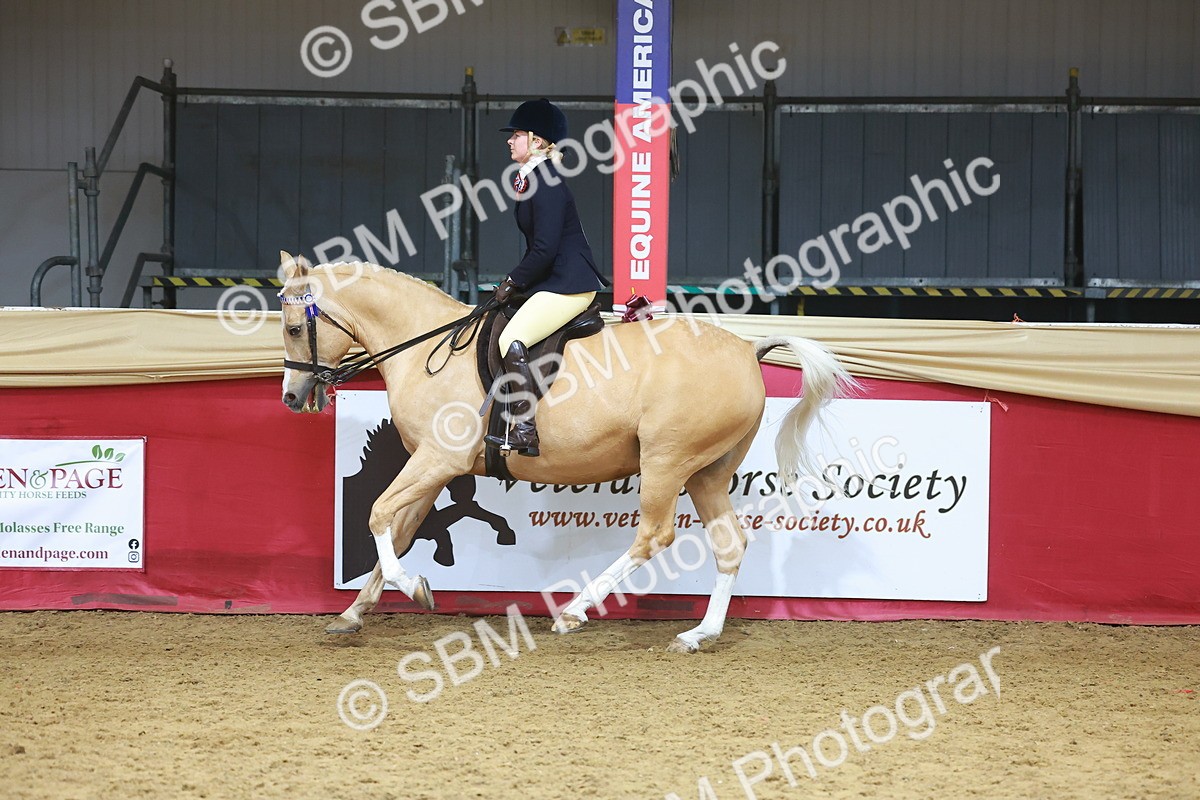 SBM_09652 - Class 102 - HOYS Veteran Qualifier - Ridden Veteran