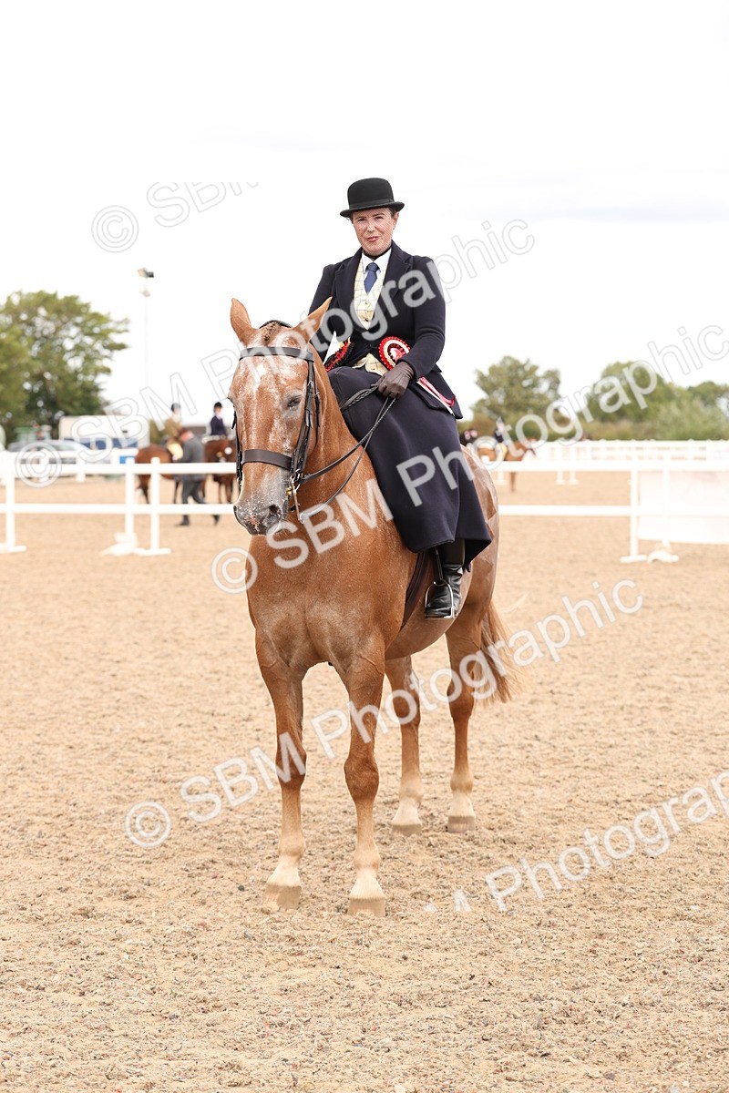 SBM_16441 - Class 211 - Best Side Saddle Horse - Pony