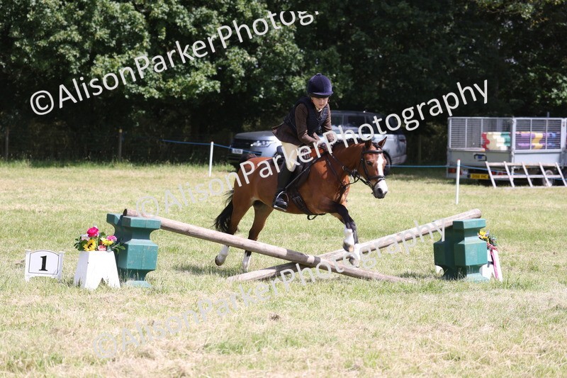 20260614-1744 - Class 21 - Novice Working Hunter Pony