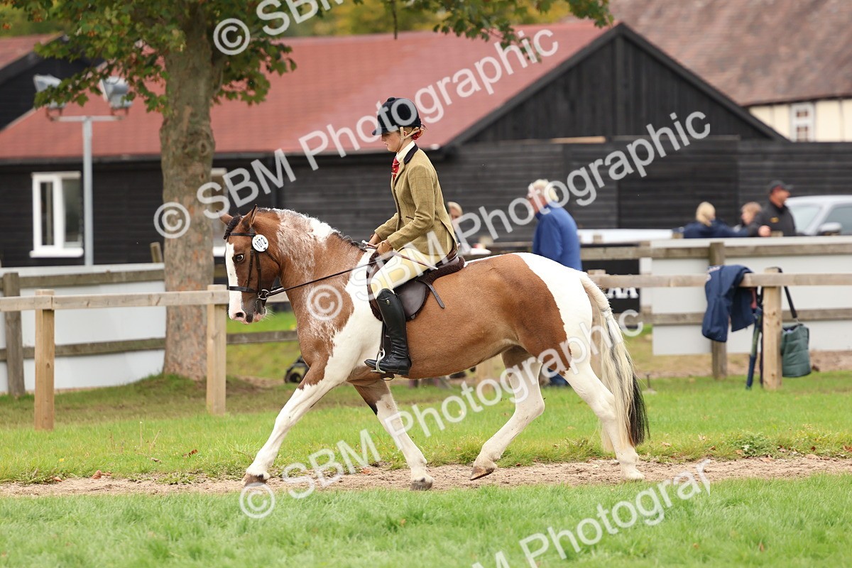 SBM_64556 - S58 - Coloured Pony Ridden