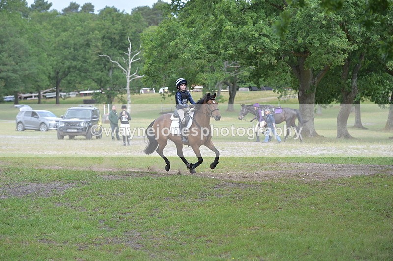 NGP_7678 - Time 11:28 to 11:38