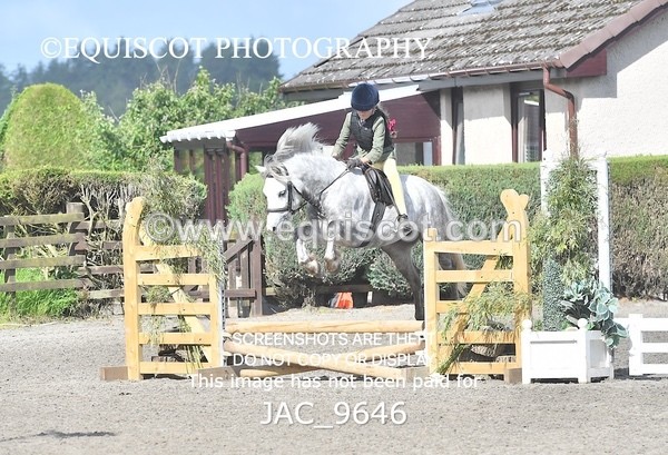 JAC_9646 - CLASS 1 Nursery Novice Working Hunter (0.50m)