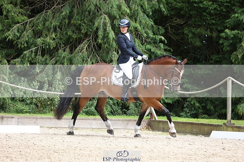 230812-151250-05079 - Cls 5 Novice Bronze 15.00 to End