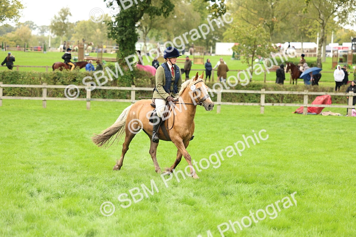 1I0A1439 - S32 - Mountain & Moorland Working Hunter Pony