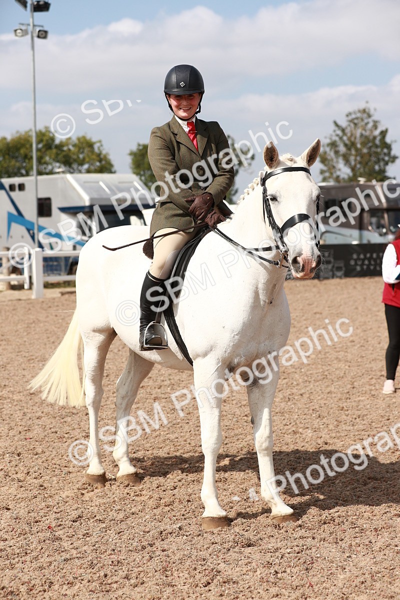 SBM_14874 - Class 212 Ridden Hunter - Small