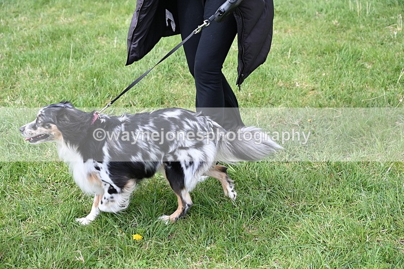 WJ6_8332 - Class 4 Prettiest Bitch