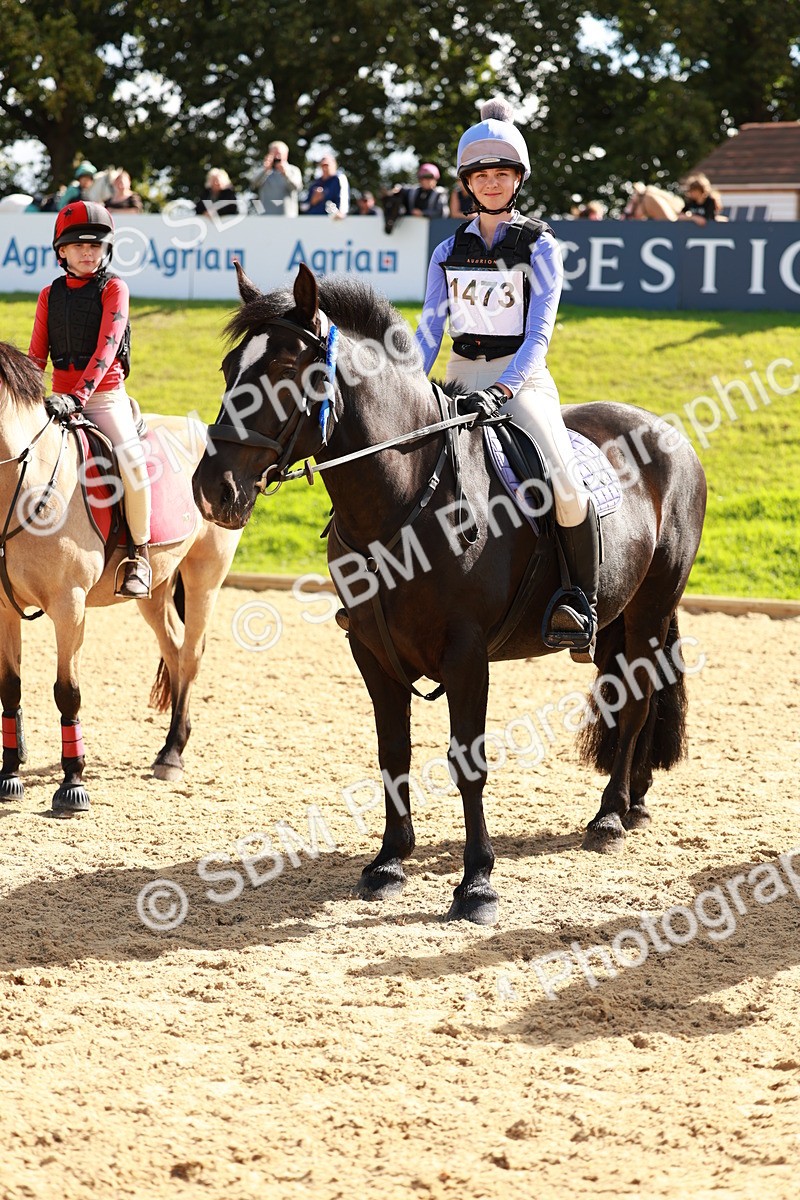 SBM_17416 - E4b - Eventers Challenge 60cm Open