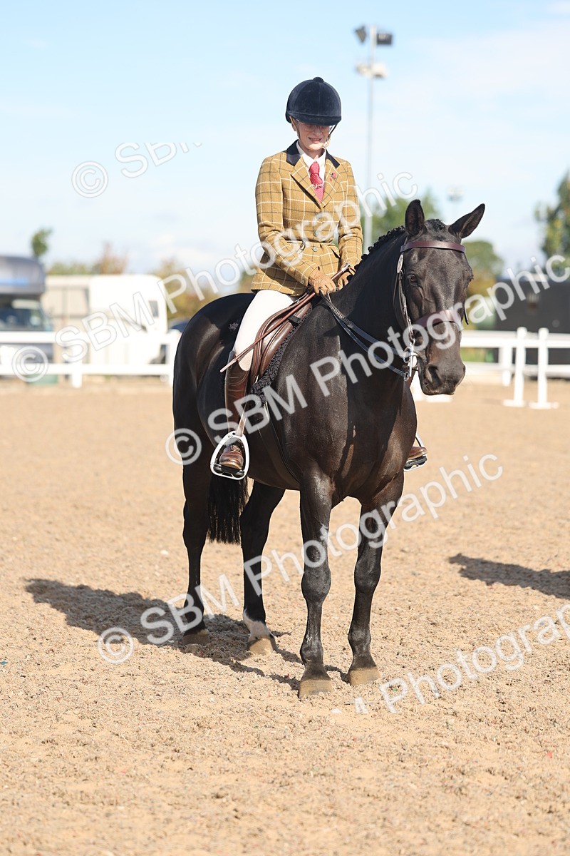 SBM_12388 - Class 304 - Ridden part Bred Horse Pony