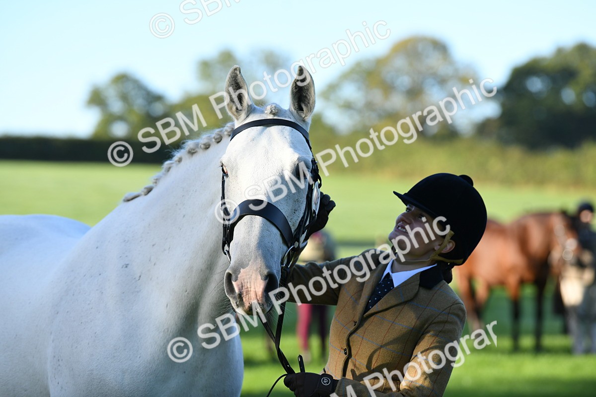 SBM_32814 - S15 - Condition & Turnout In Hand