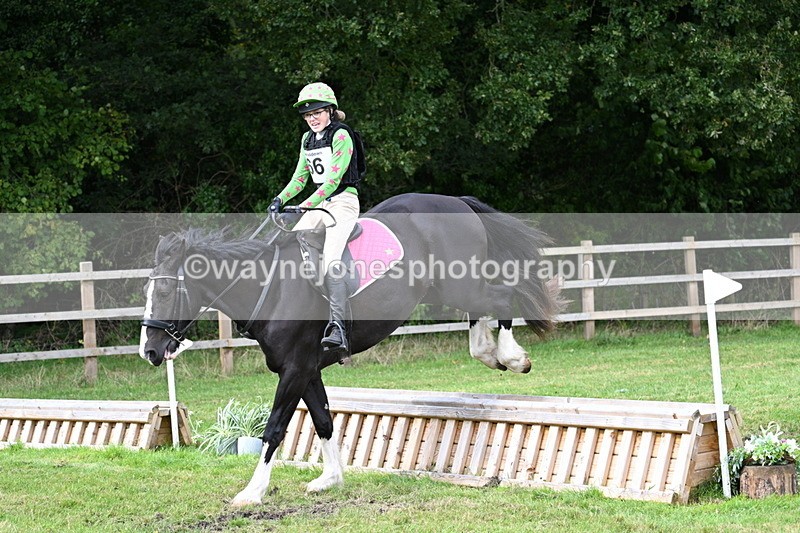 WJ7_8912 - 60cm Time 12:31 to 12:50