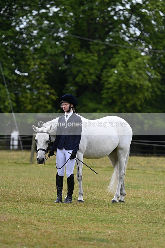 WJ7_6335 - Class 4a Prettiest Mare over 14hh