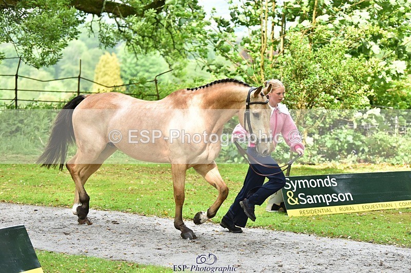 240522-155900-00619 - 109-MJM_BOBBY_DAZZLER-Rosie_Ringer