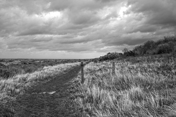  - Black and White
