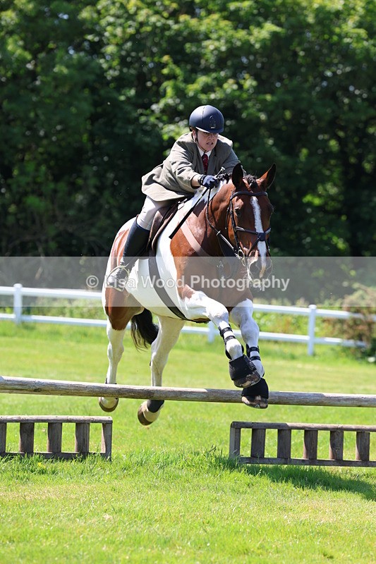 3E7A6872 - Class 30: Novice Working Hunter