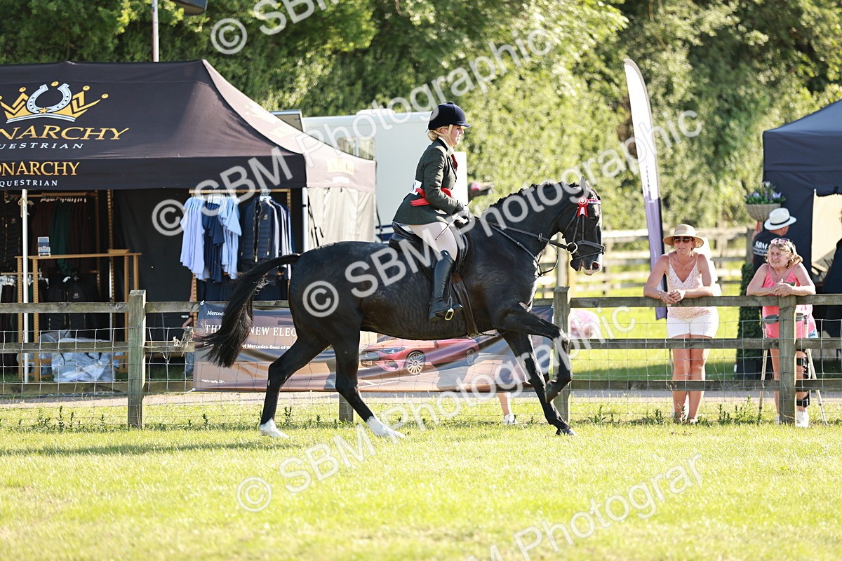 SBM_20086 - Class 115-116 - LIHS BSHA Rising Star Working Hunter & Show Horse