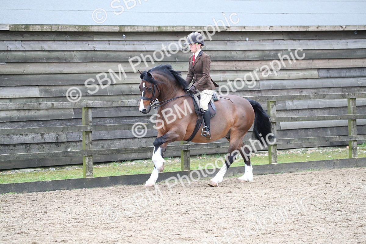 SBM_006386 - Class 10-13 - RIHS Small Large Breeds