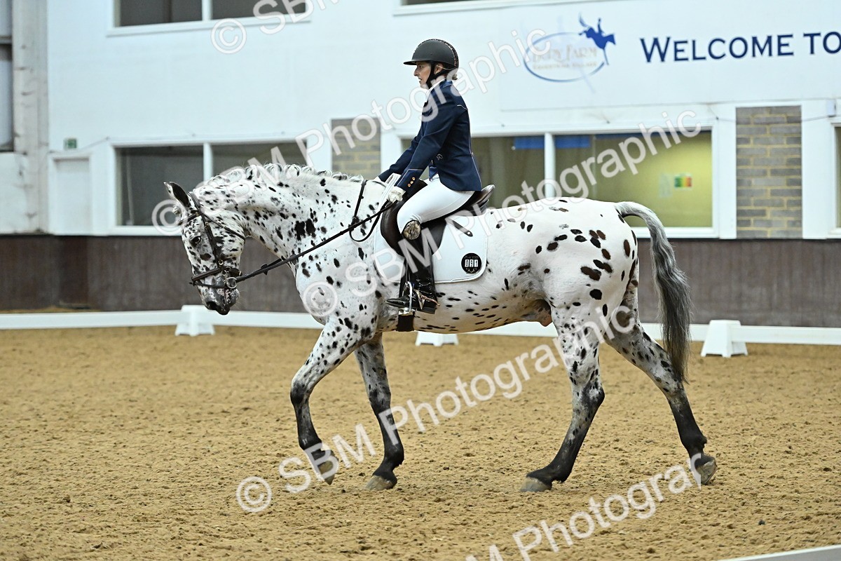 SBM_007517 - Class 81 - Novice 3