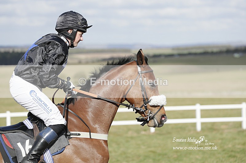PtP 260223 388 - South & West Wilts Point-to-Point Larkhill 26/02/23