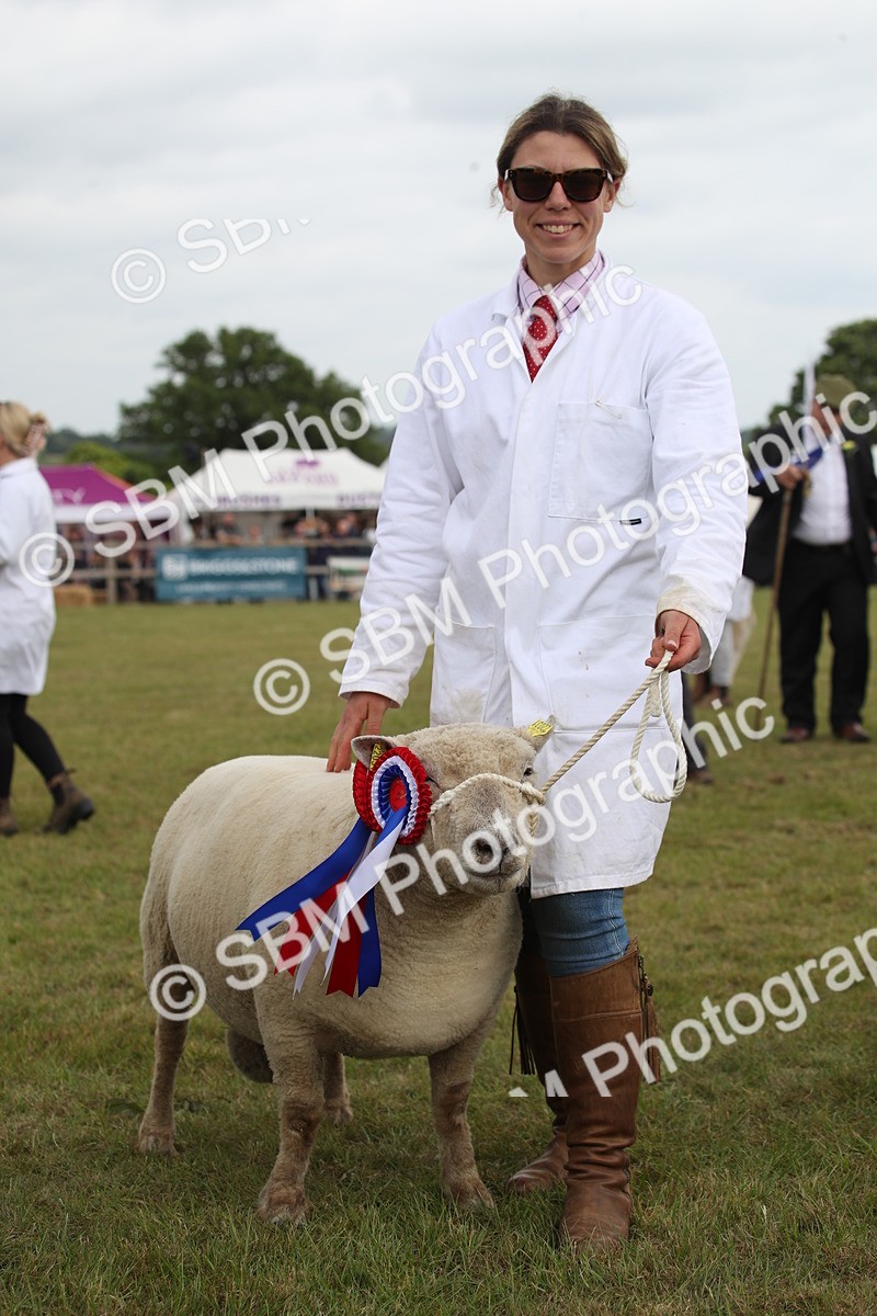 SBM_07871 - Grand Parade