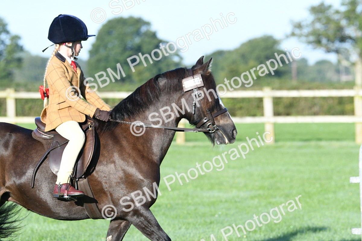 SBM_33892 - S16 - Condition & Turnout - Ridden